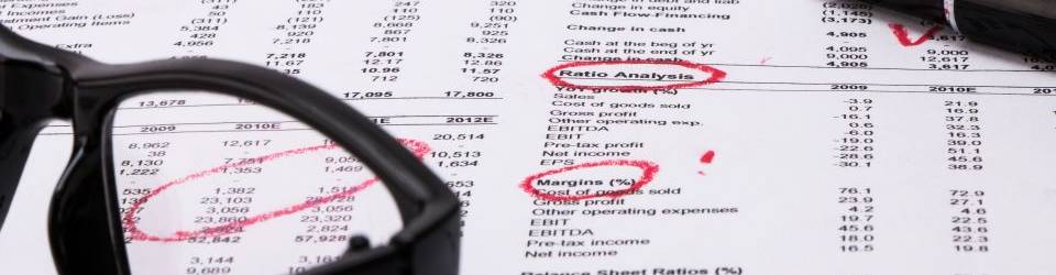 Master Oficial Universitario MBA + Especialista en Finanzas Corporativas Internacionales (60 Creditos ECTS + 12 Creditos ECTS = 72 Creditos ECTS)  