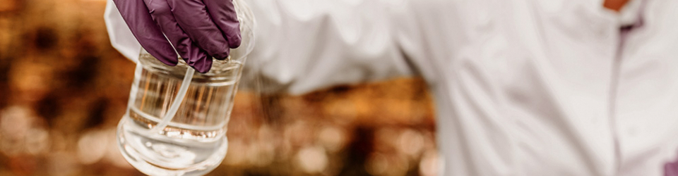 MASTER OFICIAL SEGURIDAD ALIMENTARIA DISTANCIA