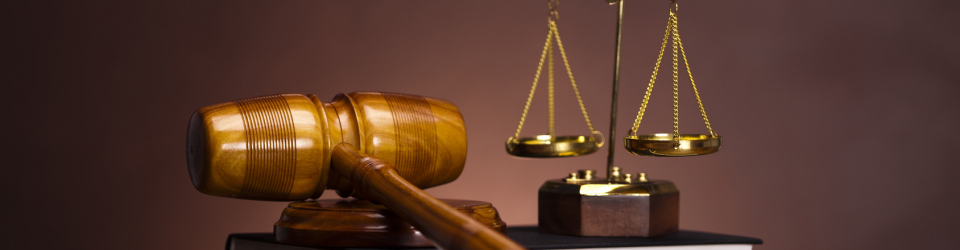 Master en Pericia Judicial en Patentes, Marcas, Propiedad Industrial e Intelectual + Titulacion Universitaria