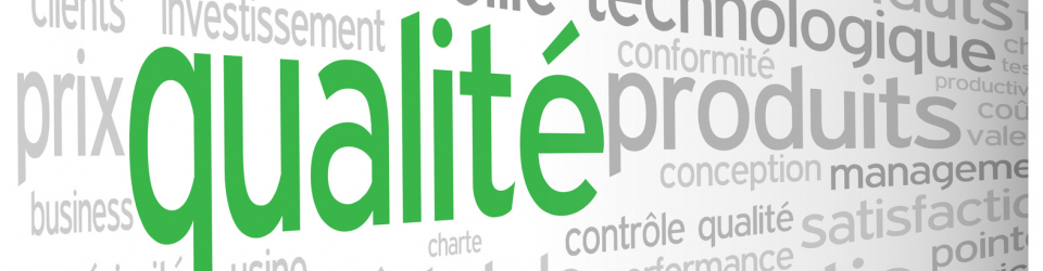 MASTER UNIVERSITARIO EN SISTEMAS INTEGRADOS DE GESTION