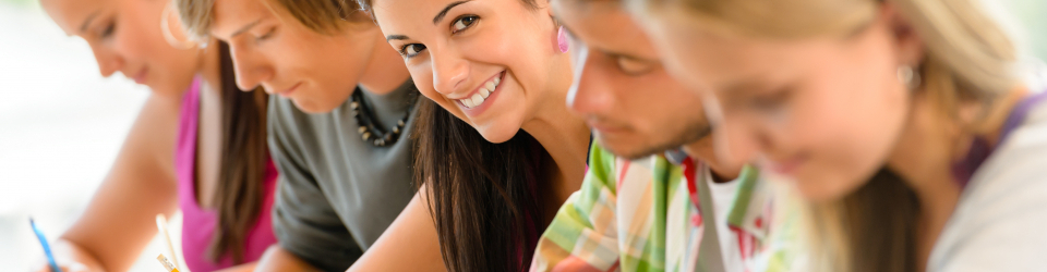 Mba Experto en Formador de Formadores + Titulacion Universitaria