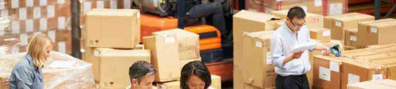 Curso Online Manipulacion de Cargas con Carretillas Elevadoras