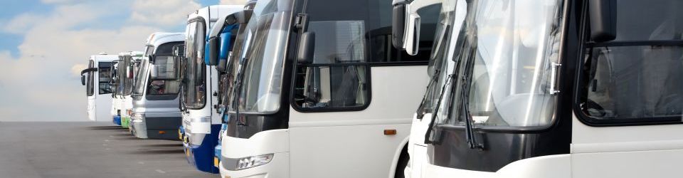 Curso Online Gestion de Operaciones de Transporte de Viajeros por Carretera