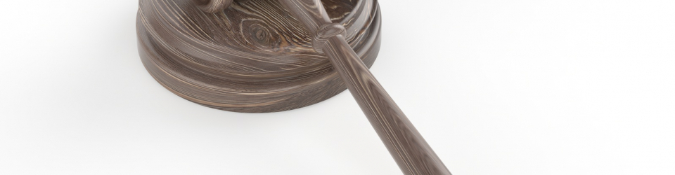 Perito Judicial en Derecho Ambiental + Titulacion Universitaria en Elaboracion de Informes Periciales (Doble Titulacion con 4 Creditos ECTS)