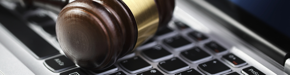 Perito Judicial en Autoria de Firmas Artisticas + Titulacion Universitaria en Elaboracion de Informes Periciales (Doble Titulacion con 4 Creditos ECTS)