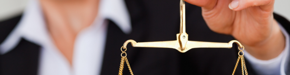 Perito Judicial en Control de Acceso a Edificios con Scanner y Radioscopia + Titulacion Universitaria en Elaboracion de Informes Periciales (Doble Titulacion con 4 Creditos ECTS)