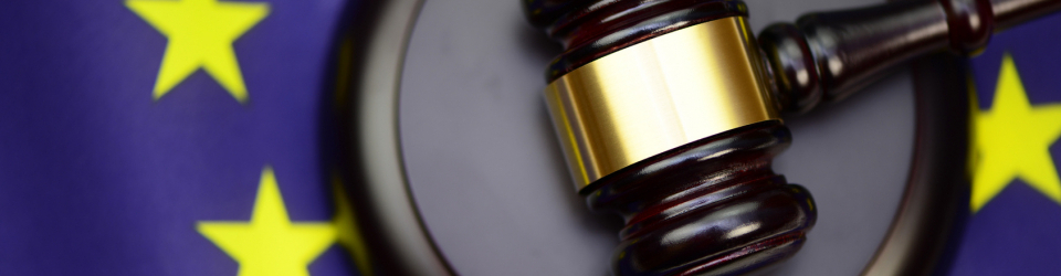 Perito Judicial en Valoracion de Incapacidad + Titulacion Universitaria en Elaboracion de Informes Periciales (Doble Titulacion con 4 Creditos ECTS)