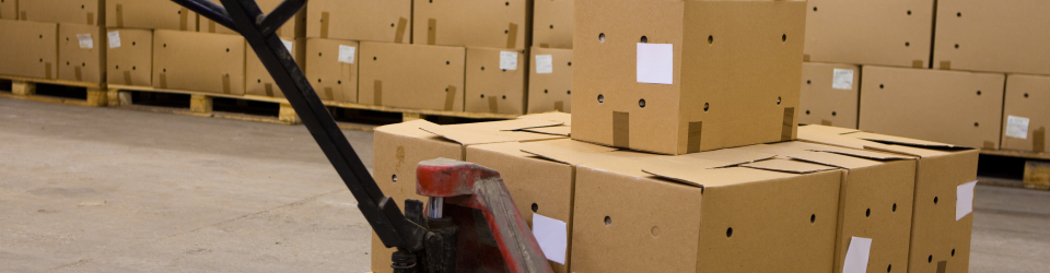 Tecnico en Prevencion de Riesgos Laborales en el Manejo de Transpaleta Manual y Electrica