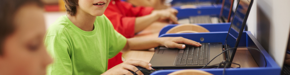 Tecnico en Recursos Educativos en Red + Aplicacion Didactica de las TIC en las Aulas (Doble Titulacion con 4 Creditos ECTS)