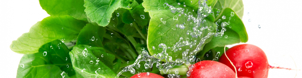 Tecnico universitario dietetica nutricion