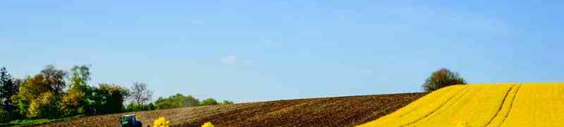 Curso a distancia Uf0007 Aplicacion De Metodos De Control Fitosanitarios En Plantas Suelos E Instalaciones A Distancia