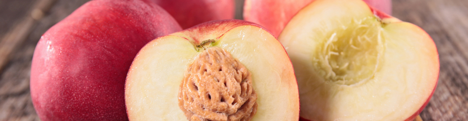 Curso Online Recoleccion, Transporte, Almacenamiento y Acondicionamiento de la Fruta