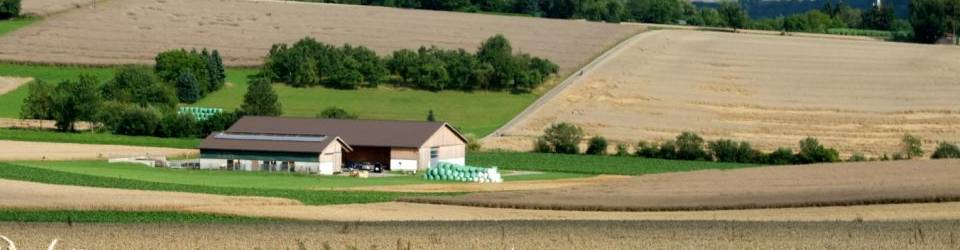 Curso Tecnicas y Metodos Ecologicos de Equilibrio entre Parasitos, Patogenos y Cultivos (A Distancia)