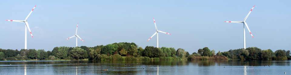 Curso Online Montaje y Mantenimiento de los Sistemas de Control y Regulacion de Parque Eolico