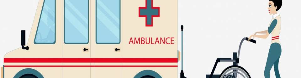 Curso Organizacion del Entorno de Trabajo en Transporte Sanitario (A Distancia)