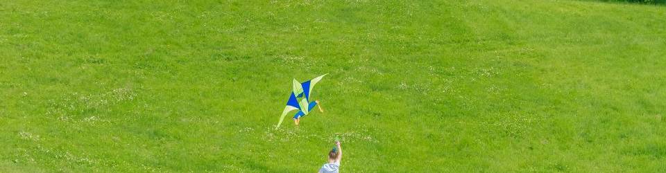 Curso Aplicacion de los Procesos Innovadores en los Servicios de Informacion Juvenil (A Distancia)