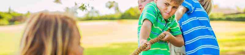 Curso a distancia Uf1938 Dirigir Y Dinamizar Eventos Actividades Y Juegos Para Animacion Fisico Deportiva Y Recreativa A Distancia