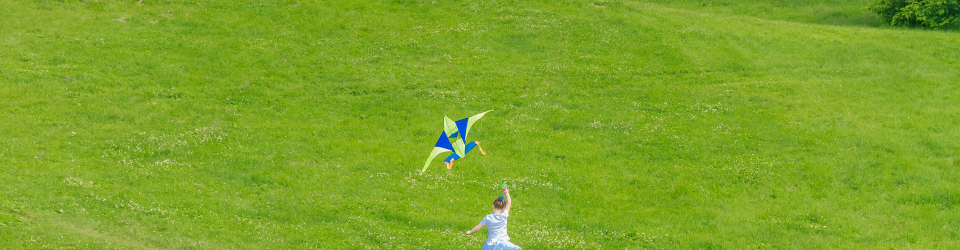 Curso Online Programacion, Ejecucion y Difusion de Proyectos Educativos en el Tiempo Libre