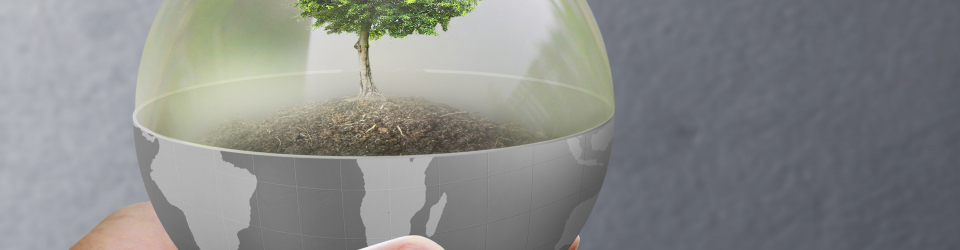 Curso Online Determinacion del Transporte de los Productos y Equipos Necesarios para la Prestacion del Servicio