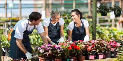 Curso de Jardinería recomendado: curso en diseño de jardinería y paisajismo