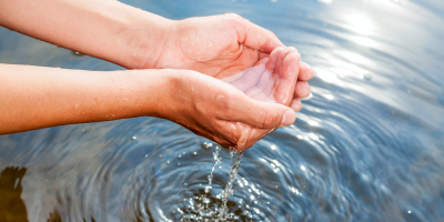 Curso Universitario de Estudio de la Contaminación (Curso Homologado con Titulación Universitaria + 2 ECTS)