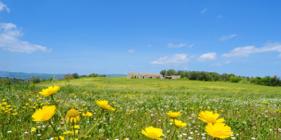 Curso Universitario de Gestion Medioambiental: Conceptos e Implantacion (Curso Homologado con  Titulacion Universitaria + 2 ECTS)