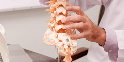 Especialista en Técnicas de Estudios de Huesos y Esqueletos