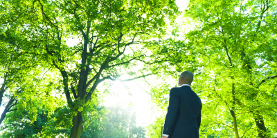 UF0691 Identificación de Procesos para las Labores de Aireación, Abonado, Enmiendas, Riego y Poda en Árboles y Palmeras Ornamentales