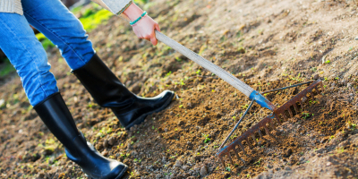 UF2166 Manejo de hembras durante la gestación, el parto y la lactancia de las crías
