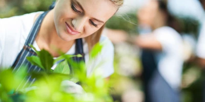 CURSO MANTENIMIENTO DE ÁRBOLES: AGAJ0109 Gestión y Mantenimiento de Árboles y Palmeras Ornamentales (Certificado de Profesionalidad Completo)