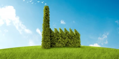 CURSO AGAO0208 ONLINE: AGAO0208 Instalación y Mantenimiento de Jardines y Zonas Verdes