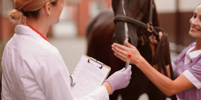 CURSO AUXILIAR VETERINARIO ECUESTRE: Auxiliar de Veterinaria Ecuestre (Titulación Universitaria + 8 Créditos ECTS)