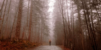 CURSO CELADOR FORESTAL: Curso de Celador Forestal