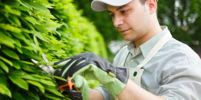 CURSO DE CONSERVACIÓN DE JARDINES: Especialista en Conservación de Parques Urbanos, Jardines Históricos y Botánicos