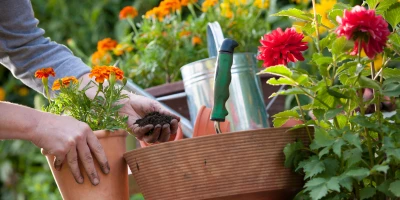 CURSO DE DISEÑADOR DE JARDINES Y RESTAURACIÓN DEL PAISAJE ONLINE: Curso de Diseñador de Jardines