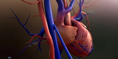 CURSO ONLINE DE ENFERMEDADES CARDIOVASCULARES: Curso de Enfermedades Cardiovasculares