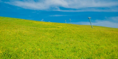 Curso Superior en Evaluación de Impacto Ambiental