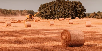 Curso de Explotaciones Agrarias en Agricultura Ecológica