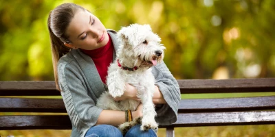 CURSO DE FISIOLOGÍA ANIMAL: Especialista en Principios de la Fisiología Animal