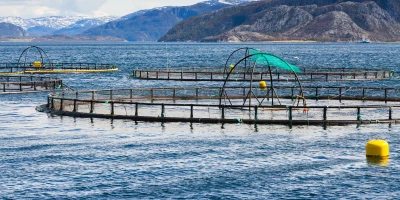 CURSO GESTIÓN LOGÍSTICA PESCA: Curso de Gestión Logística de Productos de Pesca