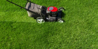 CURSO MANTENIMIENTO CÉSPED DEPORTIVO: Curso de Encargado de la Instalación y Mantenimiento de Céspedes en Campos Deportivos