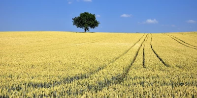 POSGRADO MANTENIMIENTO AGRÍCOLA: Postgrado en Mantenimiento de Máquinas, Instalaciones y Equipos Agrícolas