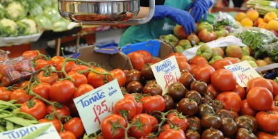 Curso de Nutrición Deportiva