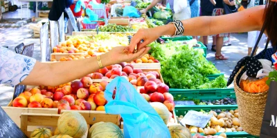 CURSO SUPERVISIÓN PROCESOS APROVISIONAMIENTO: Especialista en Supervisión de los Procesos de Aprovisionamiento, Control de Almacén y Gestión de Stock en Supermercados y Tiendas de Alimentación