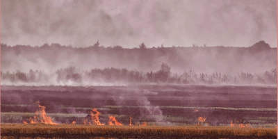 CURSO TÉCNICAS INVESTIGACIÓN CAUSAS INCENDIOS: Especialista en Técnicas de Investigación de Causas de Incendios