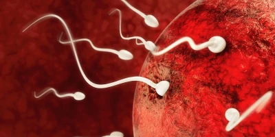 Curso en Tratamientos para Mejorar la Fertilidad (Titulación Universitaria + 4 Créditos ECTS)