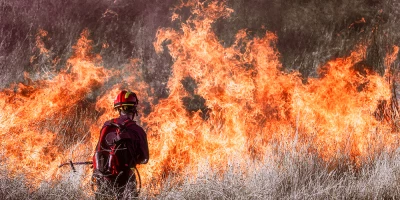 CURSO EN DEFENSA INCENDIOS: Especialista en Defensa contra Incendios Forestales