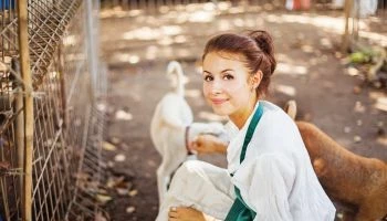 CURSO DE GESTIÓN DE CLÍNICAS VETERINARIAS PYMES: Experto en Gestión de Clínicas Veterinarias + Titulación Universitaria con 8 ECTS