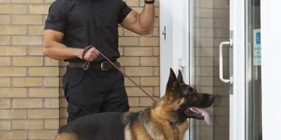 Maestría Internacional en Adiestramiento y Conducta Canina