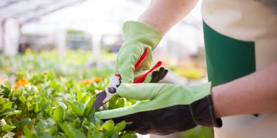 Maestría en Agroecología